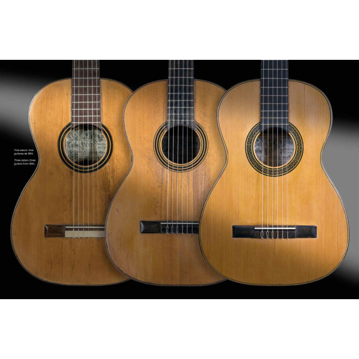 Vicente Arias Collection luthiers